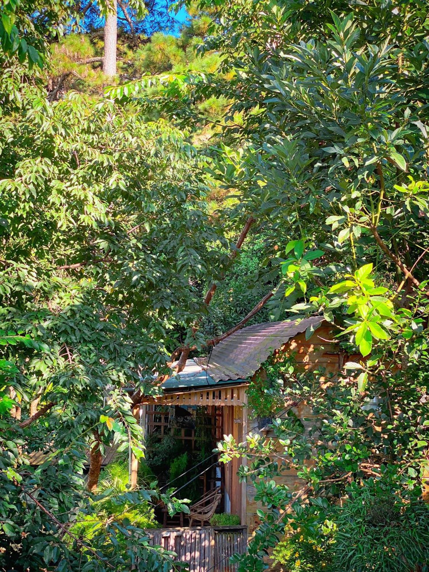 Dalat Memories Homestay - Pho Suong Mo Далат Экстерьер фото