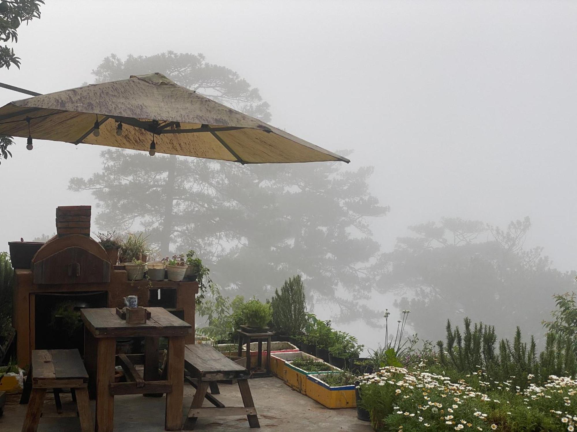 Dalat Memories Homestay - Pho Suong Mo Далат Экстерьер фото